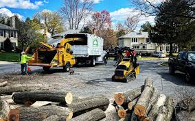 Best Hedge Trimming  in Emigsville, PA