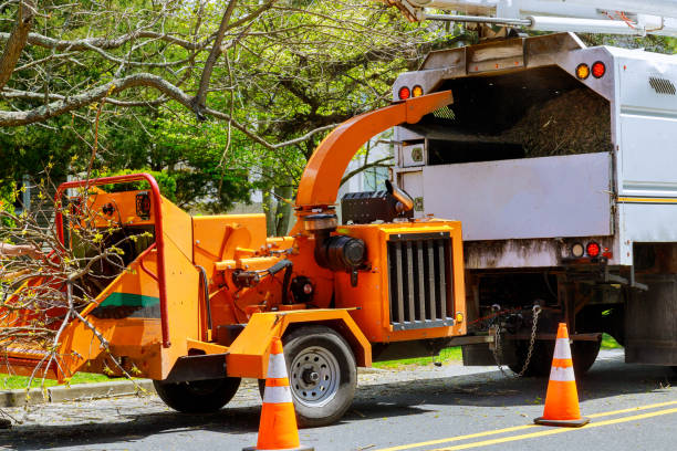 Best Commercial Tree Services  in Emigsville, PA